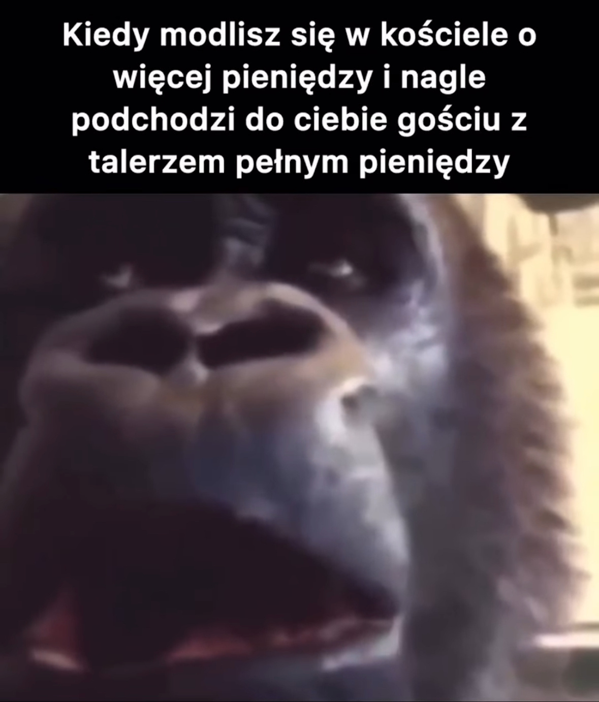 a2668fea-e142-4b03-950f-813afb05c7dd