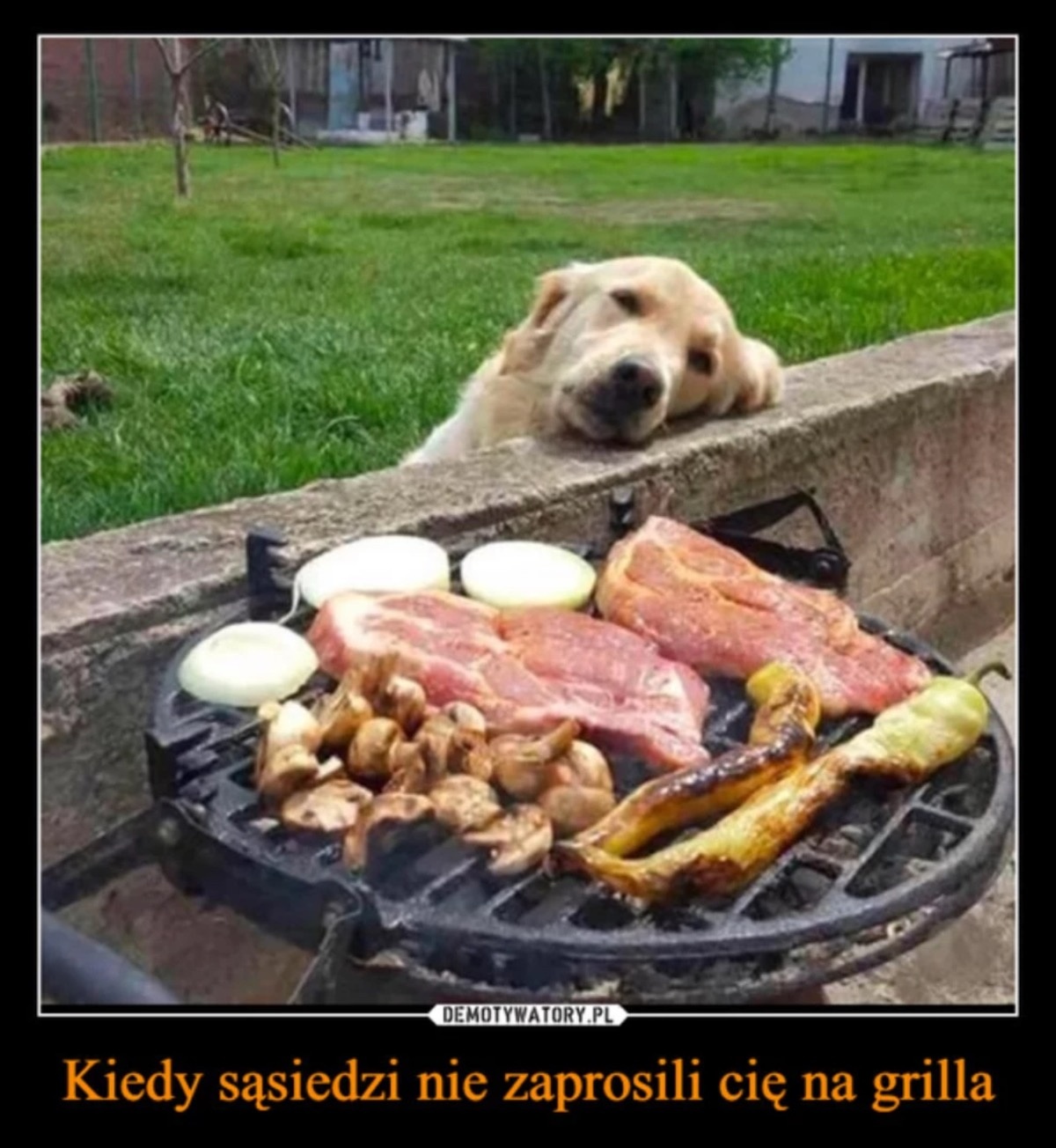 b286bc2a-2025-4de9-aa0a-efe64a4e1920