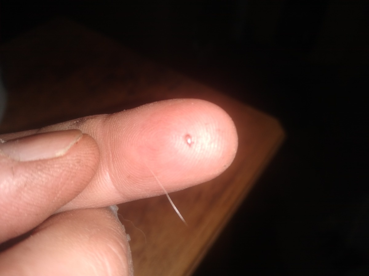 86b53805-8ac8-4164-9b68-16d11c4a873e