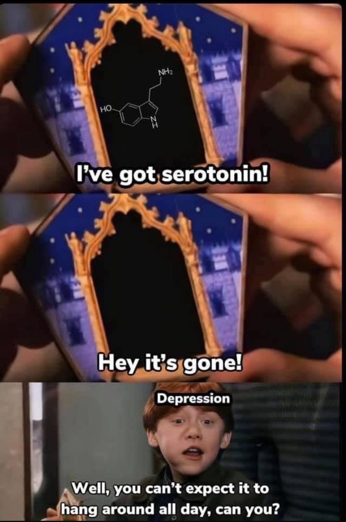 c2020363-1d6f-459e-a4e6-877115496c49