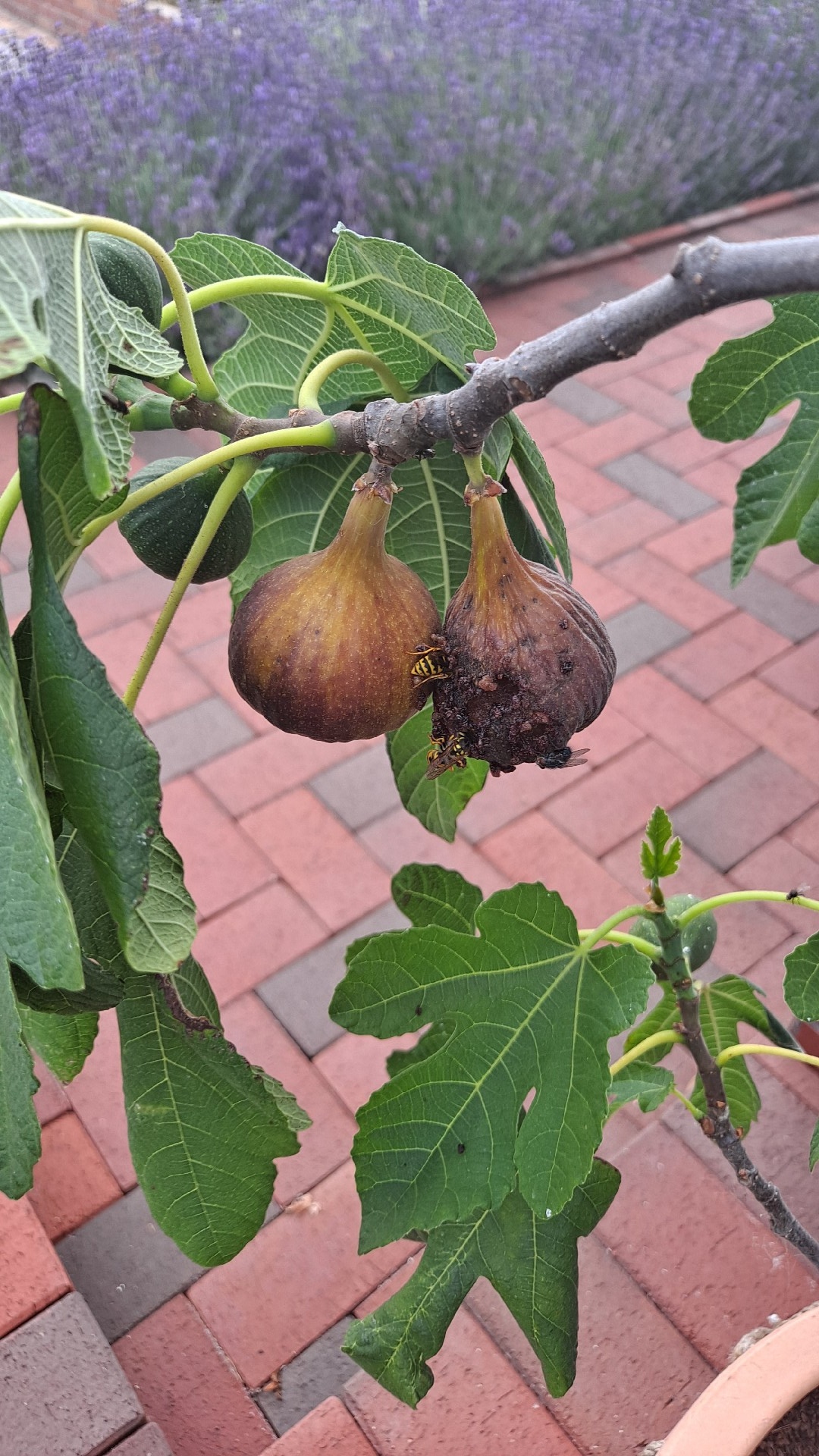 ab55ce7a-15f7-4c03-a8c7-1f8bd21be092