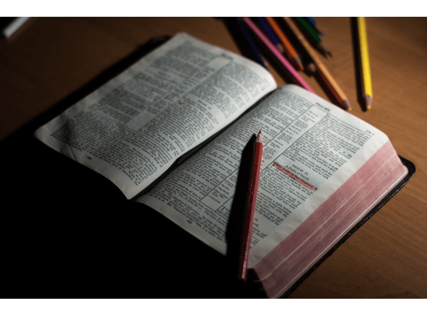 W jaki Sposób Konopie Indyjskie Pomagają w Nauce