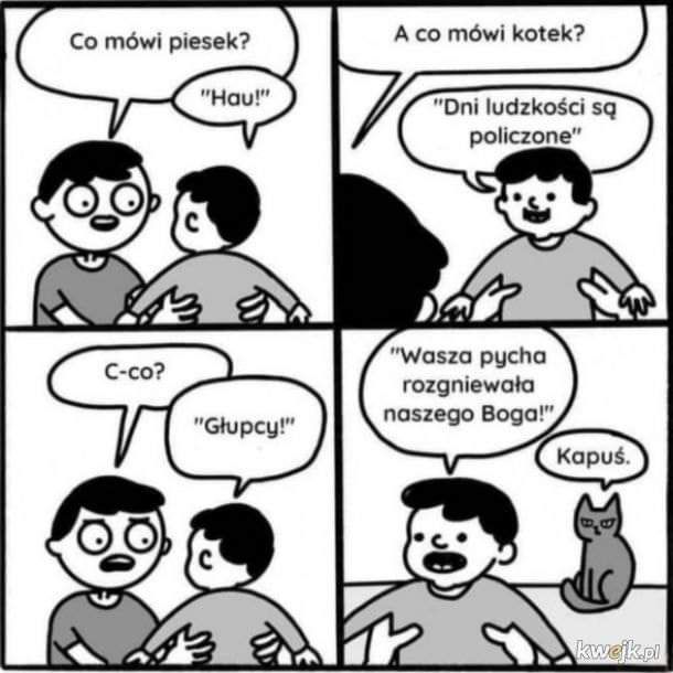 8a19119d-28ae-4373-8d3b-ac1cde479411