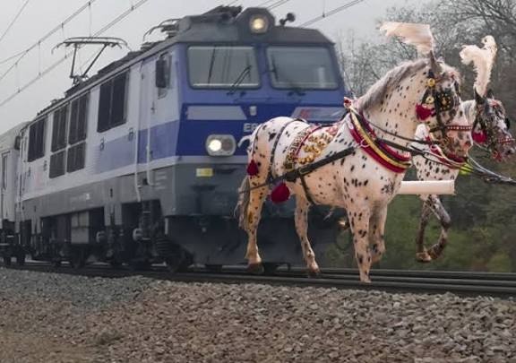 114a50b7-ce89-4062-8dcb-332f42ab74bd