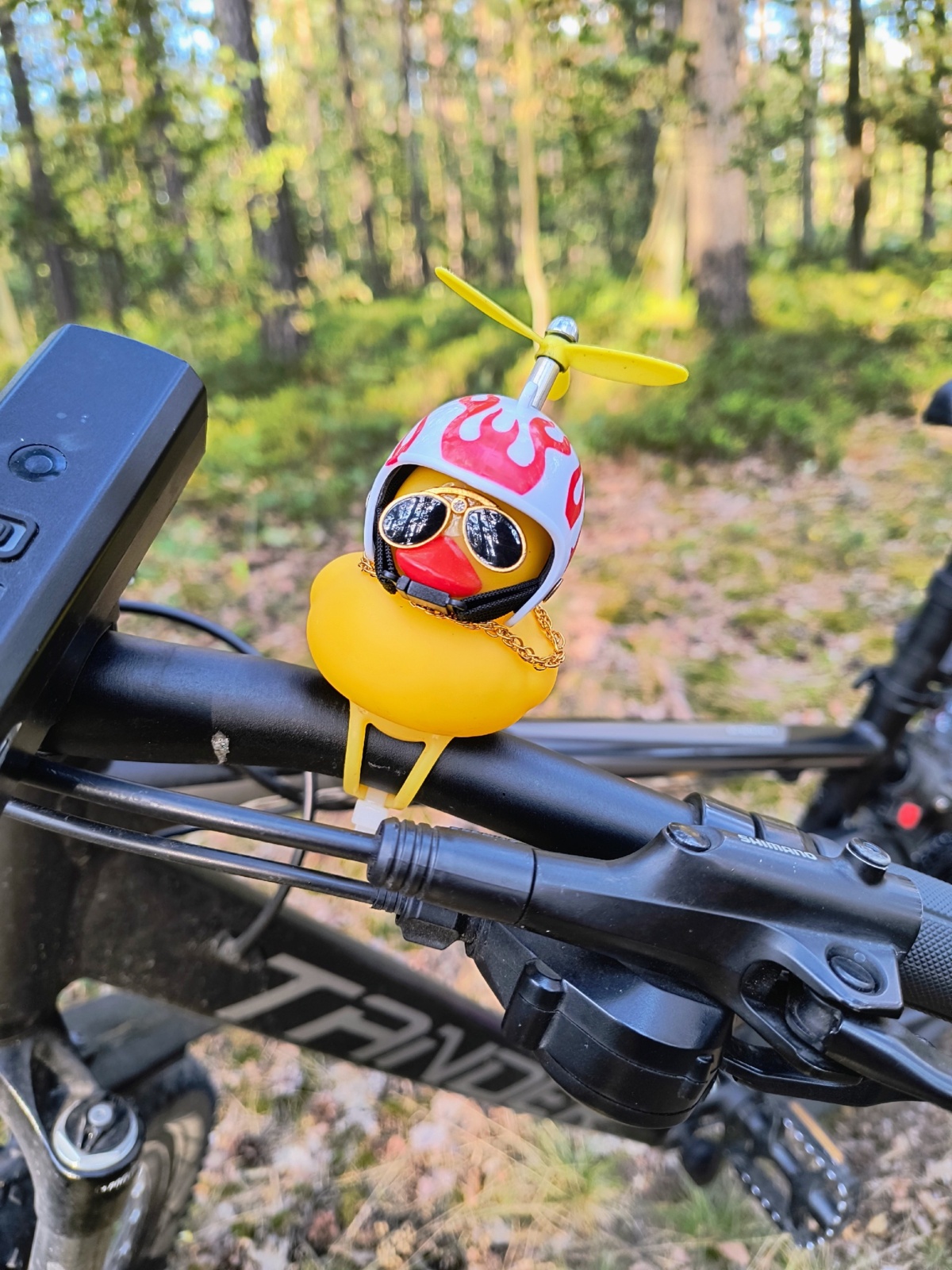 7f66edfe-2c35-440d-8039-891f5df1a05b