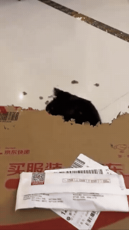 a9e96bfb-8aee-4846-9660-c7bbd077e3ee