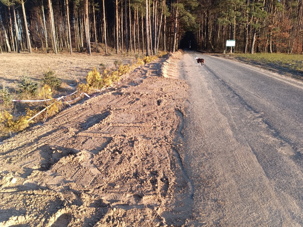 e97b8d12-e153-41fb-92e9-0a57b0778874