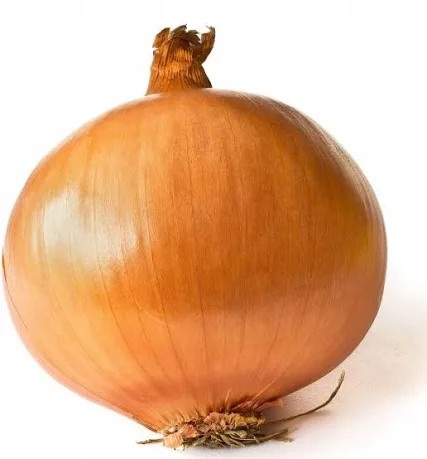 5ed7b872-288f-46a9-84a7-1104dab762e6