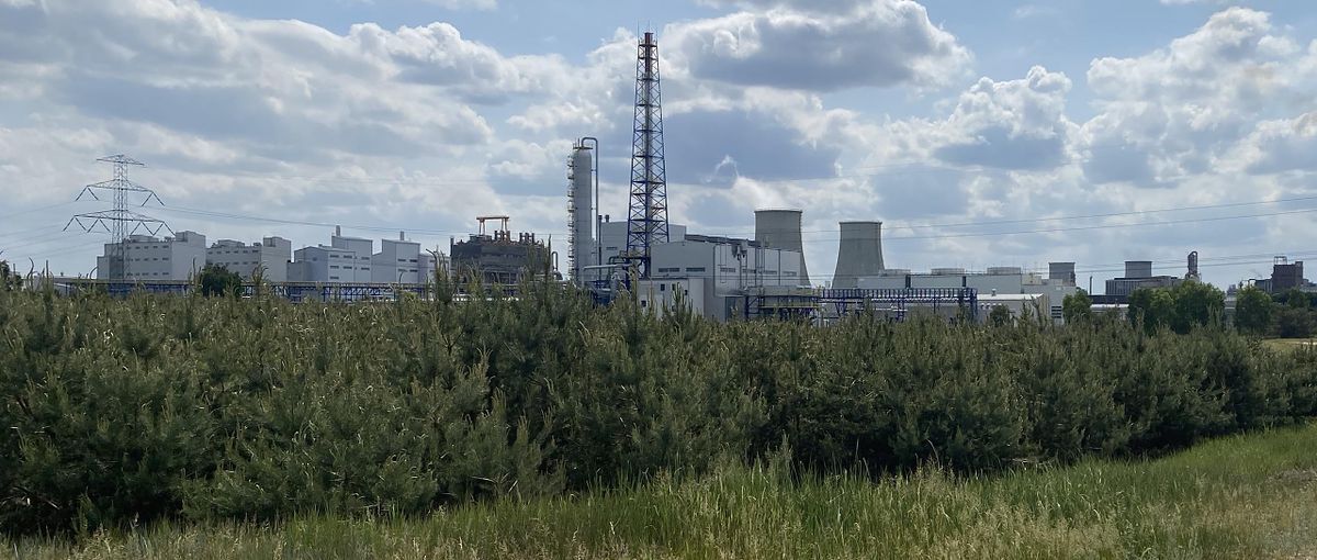 Narodowy czempion stoi. "Przez 60 lat czegoś takiego nie było"