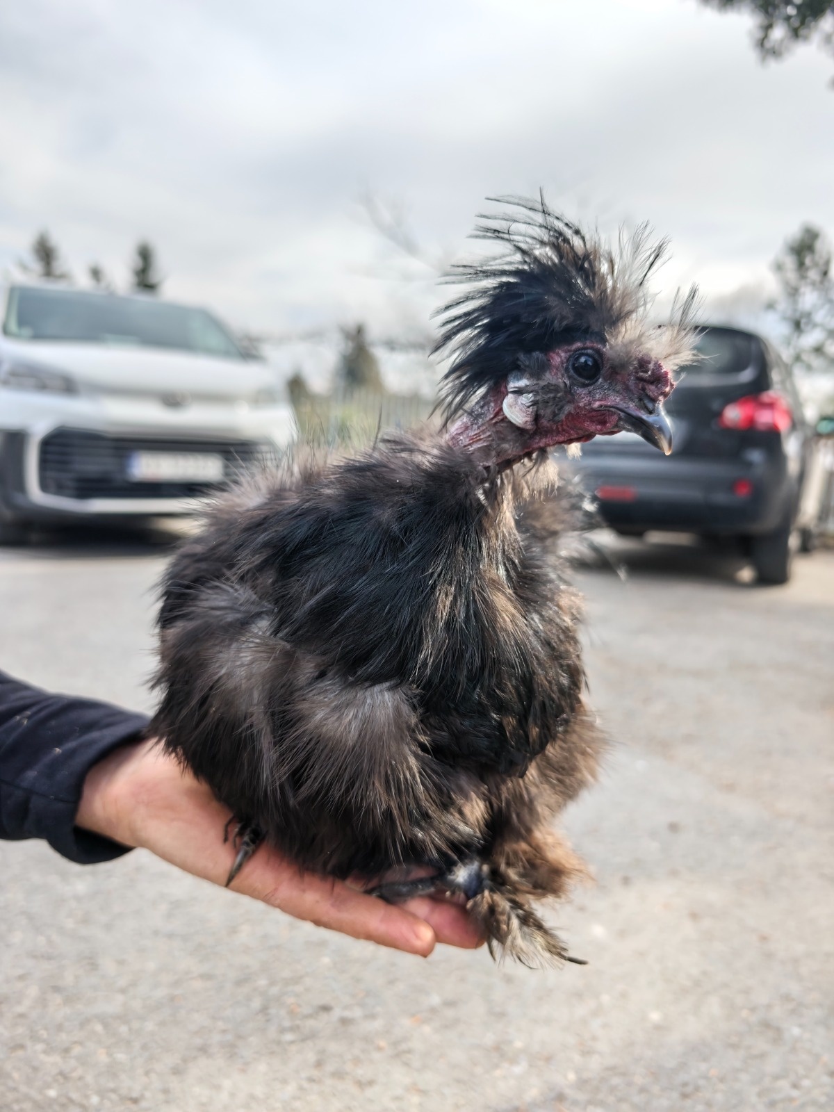 34f5afc6-97b0-4468-9880-6c2b3675f8b0