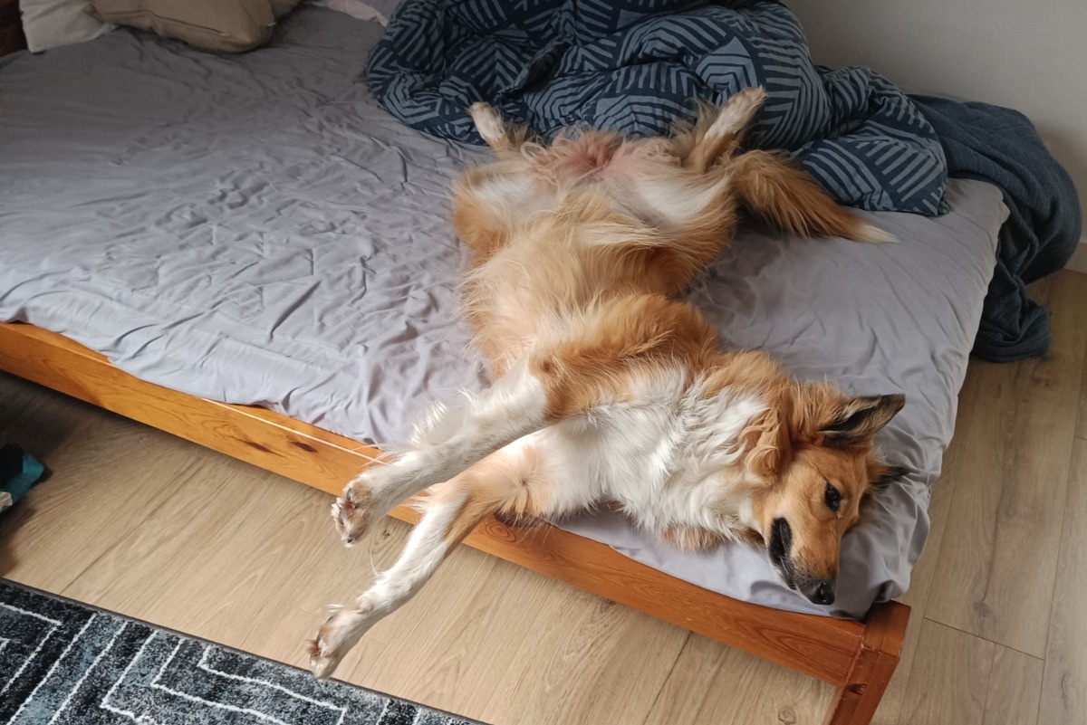 92529f30-0c2a-4669-94fe-38ea9b4be142