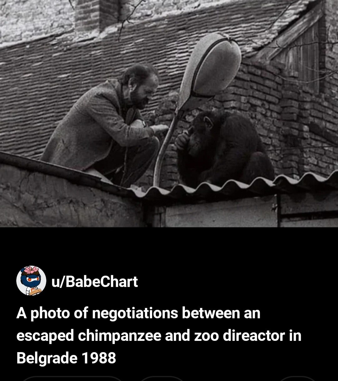 2cea71f7-04d3-49ab-8266-37caad1b7b11