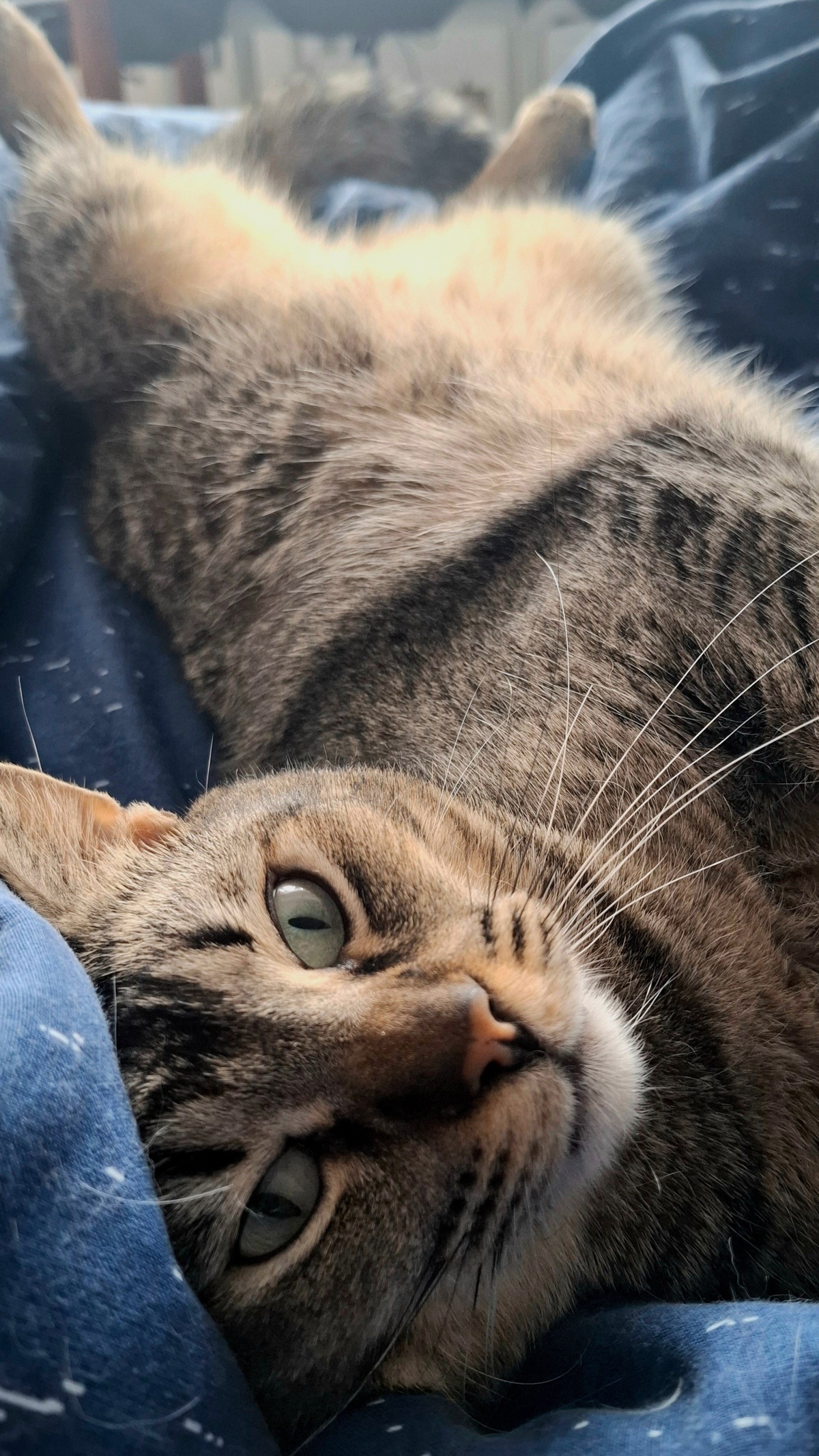 4bce8efb-66d6-4d5c-8814-a3dffde858c0