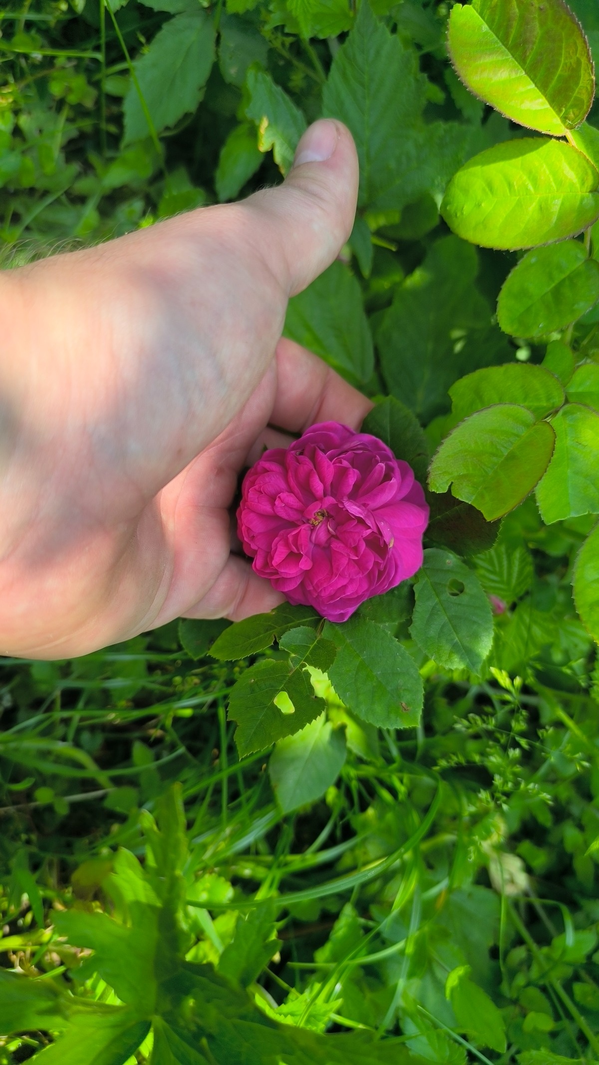 e06e6b59-836e-4c6a-b059-ad07026647e6