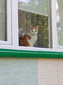 b7fdaf83-0b0a-4c11-9b15-41b7d2c4ec63