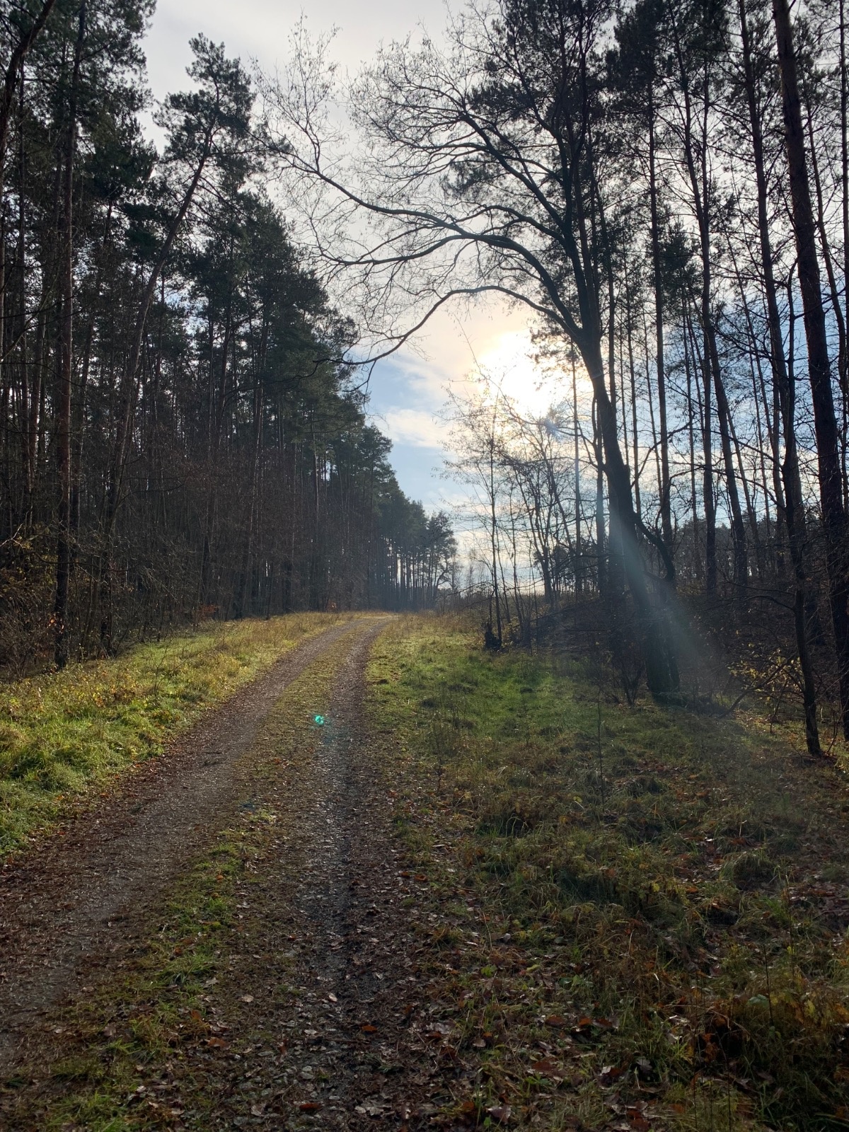 3fe042a0-fb39-4472-8a4d-4e539fa845f8