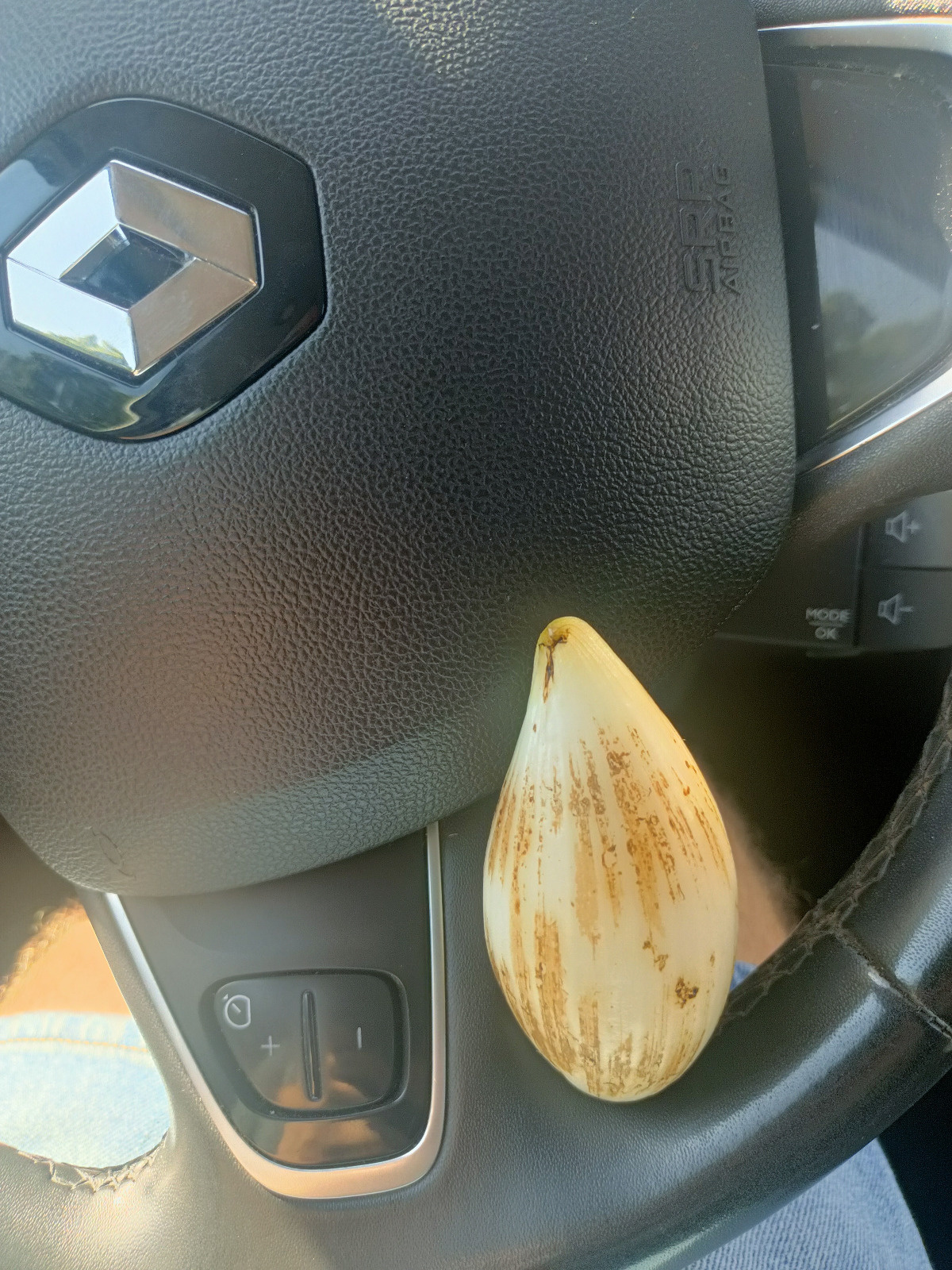 205a2fdd-2873-4730-9e21-28b6bab09da6