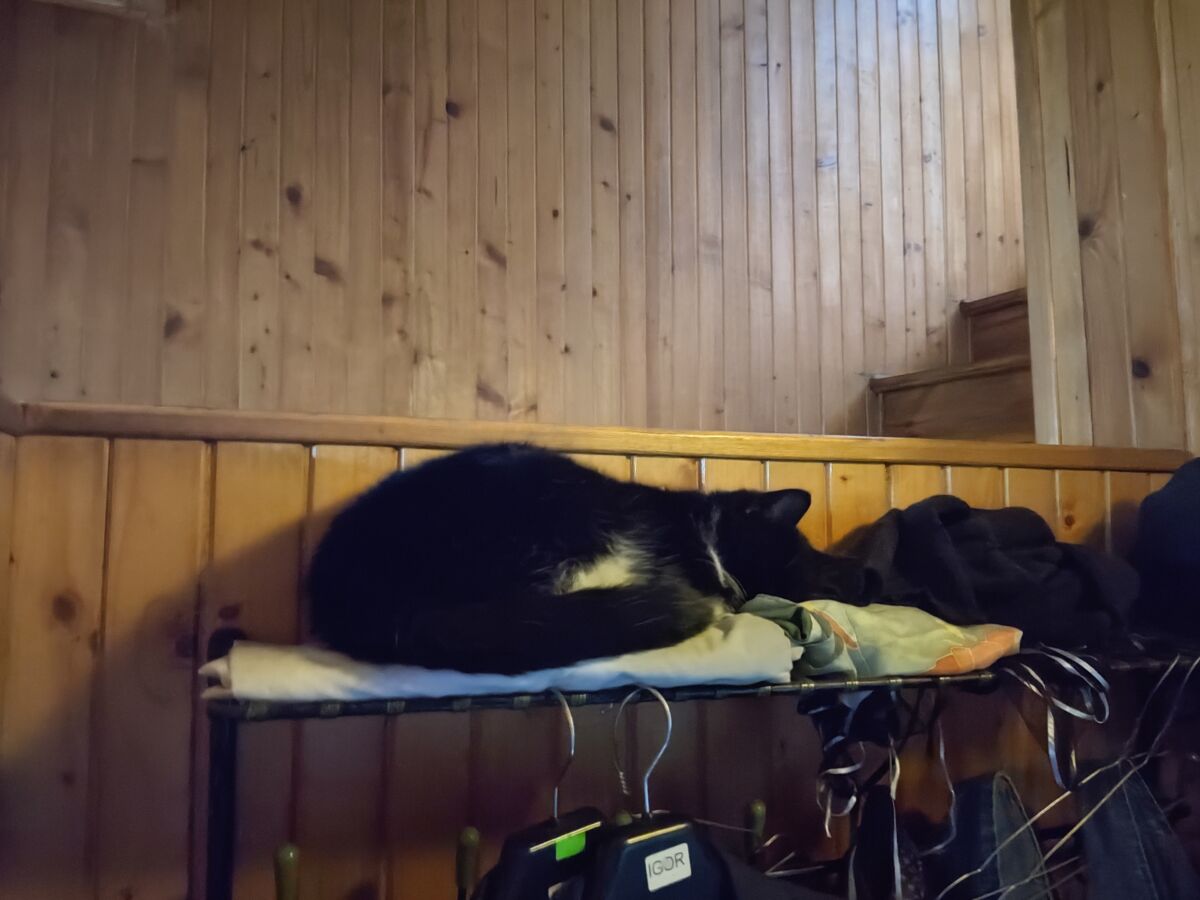 456363c6-e0d0-475f-b92a-4905d789a88e