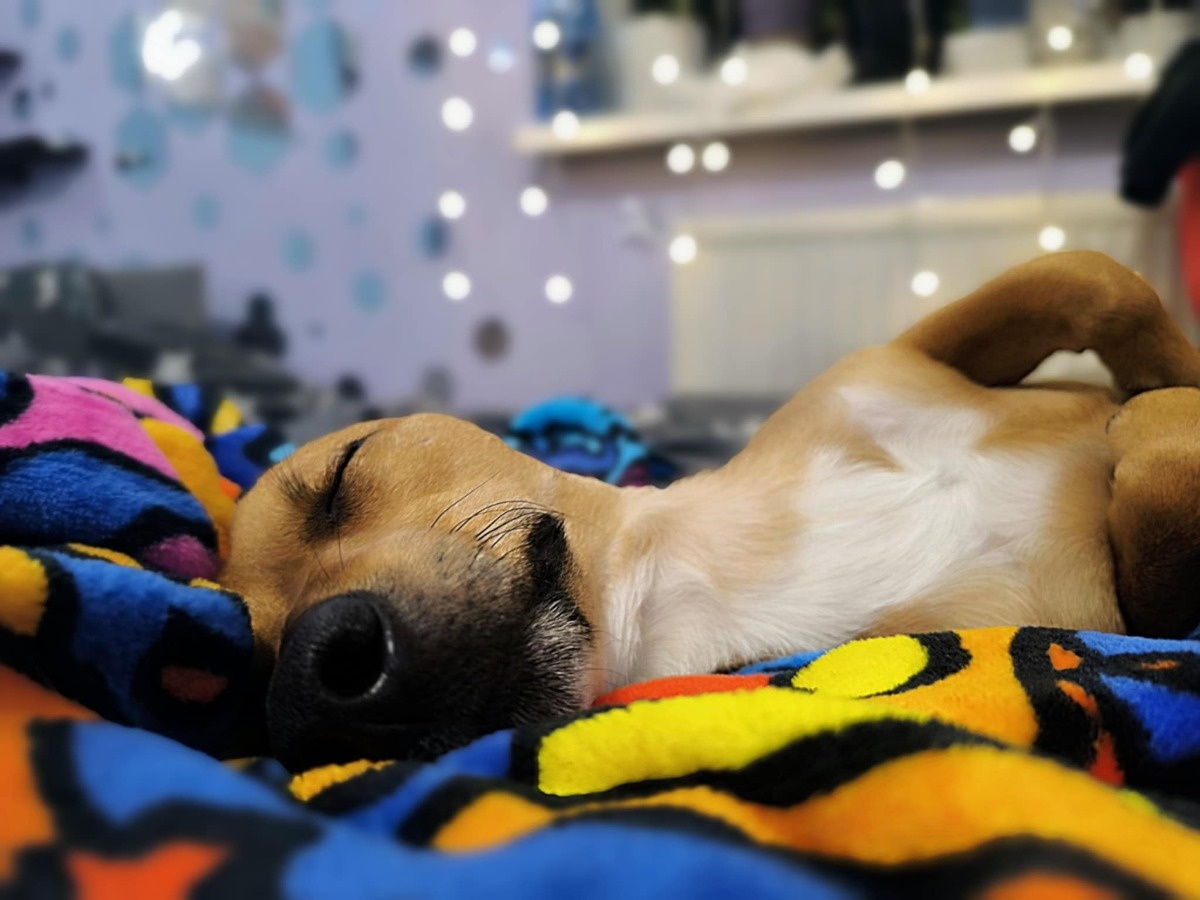 8088fc68-4b2b-46e0-aef8-91feca1eb97a