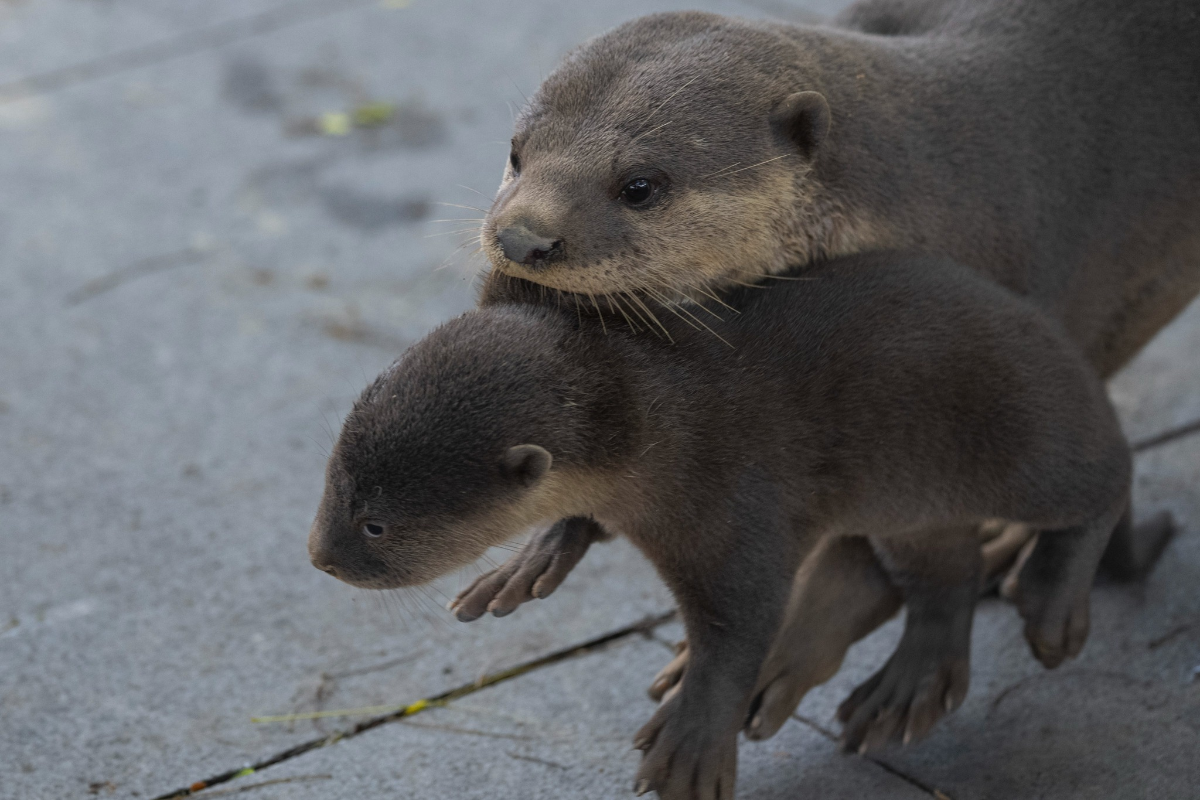 045db19e-d8fb-4630-b8ea-c639b0035dd3