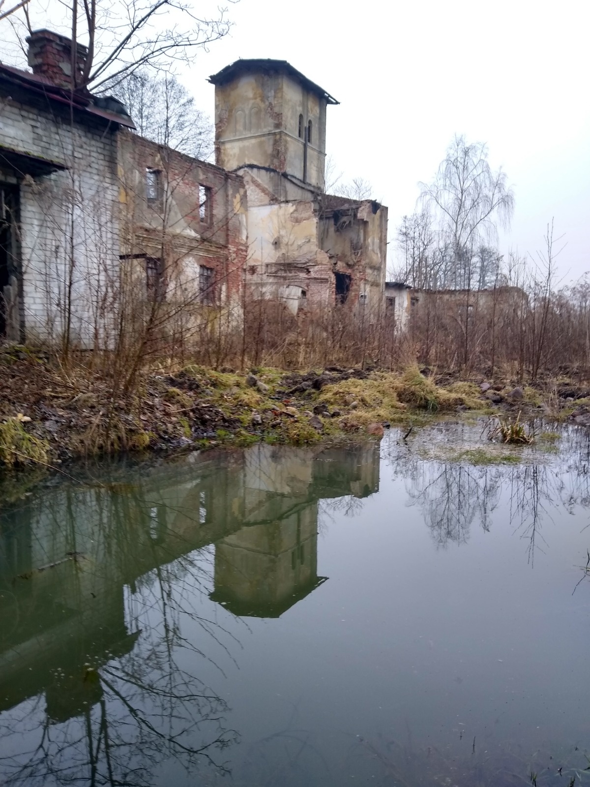 a9db06e5-a848-4206-8c0b-85d512a57350