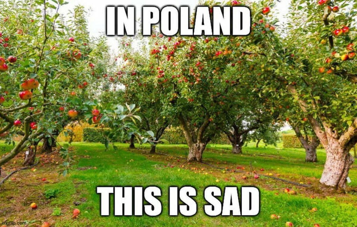 6eb19cc9-cdd7-45ef-9f6e-54e9e29f6d60