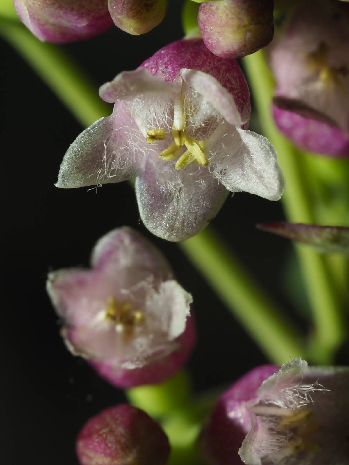 46189013-7878-4e36-9c34-b4407f7003f6