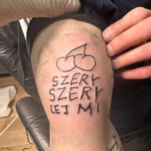 937d75ed-d626-48e9-8e8b-f24388370645