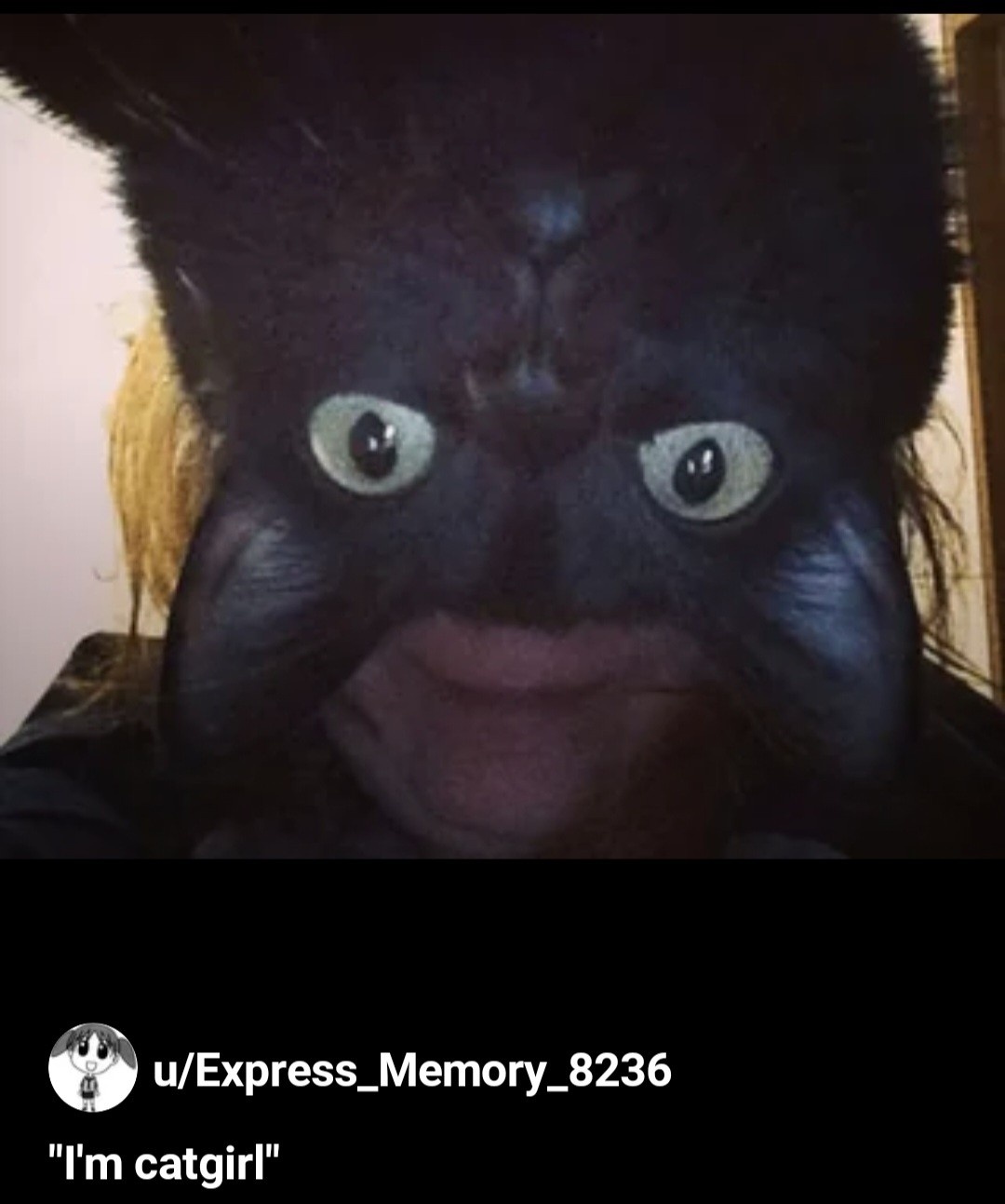 c587f867-e9a1-4611-9151-581a1711a0e5