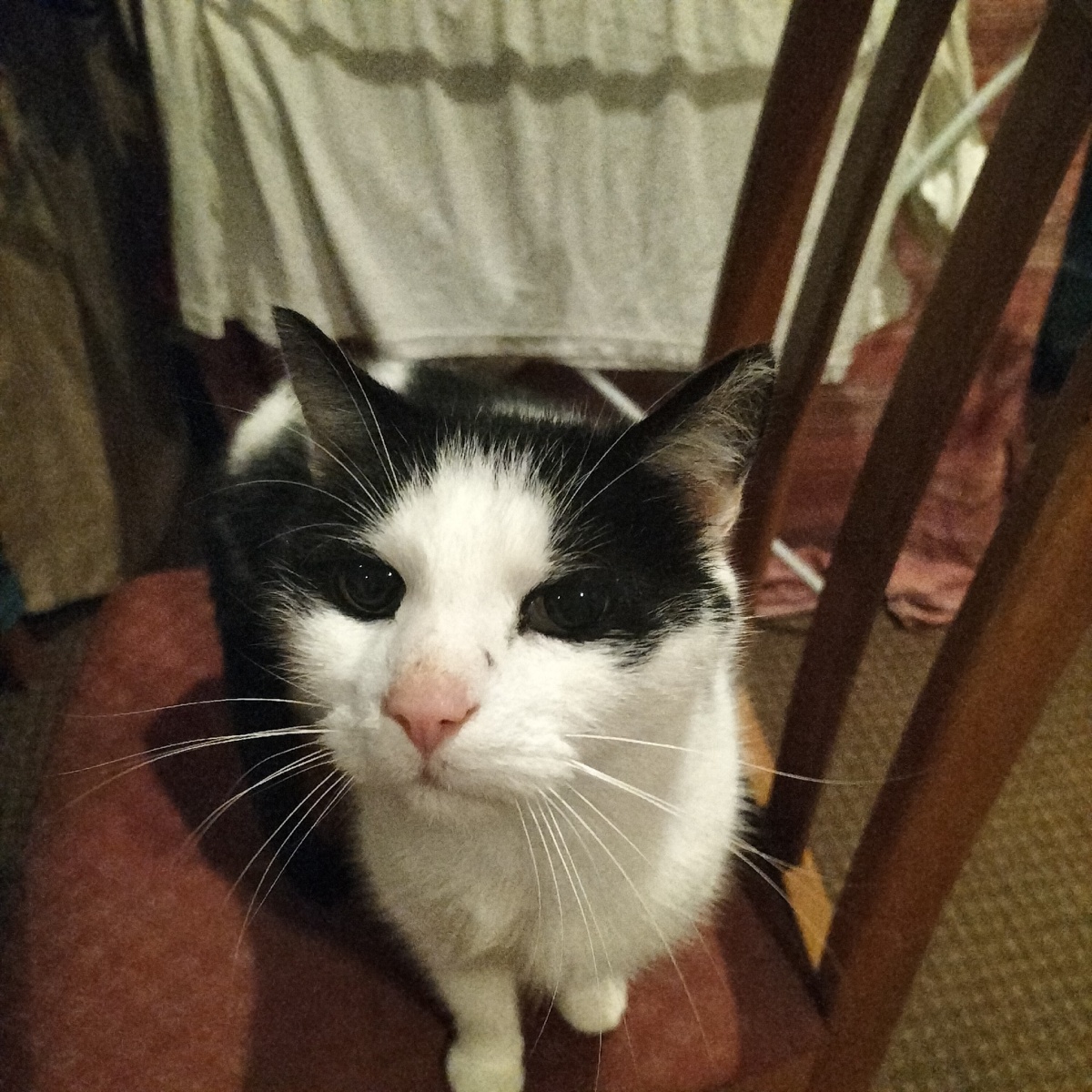 cf9348b9-25de-4308-96df-3d2fe4f537b6