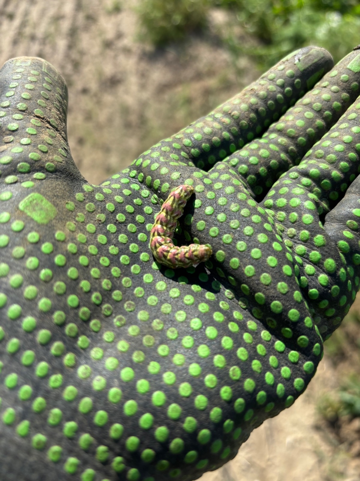 05c27c99-427c-45c1-afd5-4a8f00d14cfa