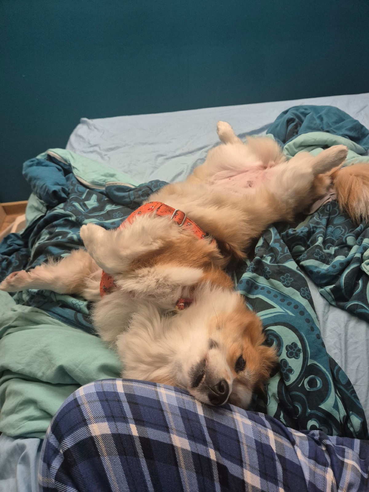 361fe1be-73da-4363-8949-80ece08fd11f