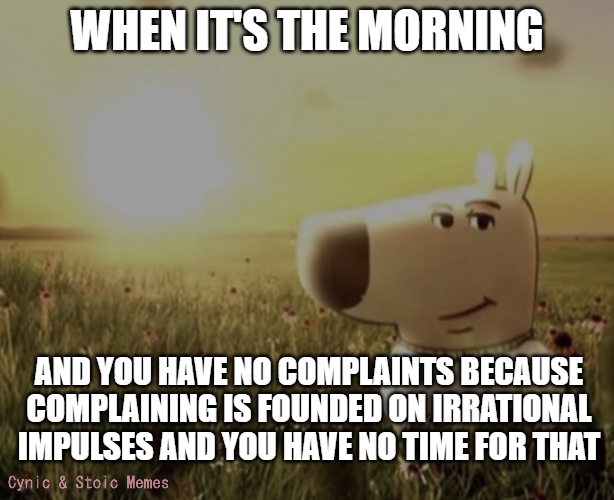 50967eec-2646-4cf7-9356-e6e9774ad956