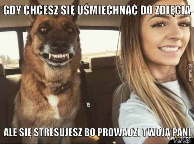 c4b4b716-2a1f-4dd5-bade-9ec745f7f9f1