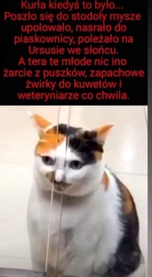 238827c0-20ae-4dd4-982d-f68e1daf529c