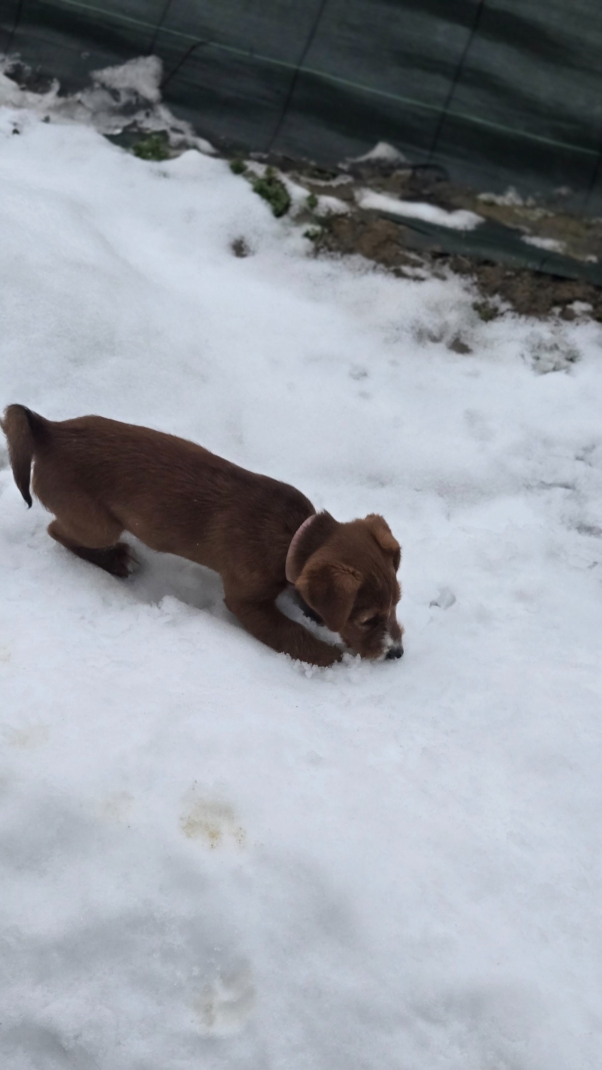 3b85cee0-dd3d-4d94-8269-f7e545983775