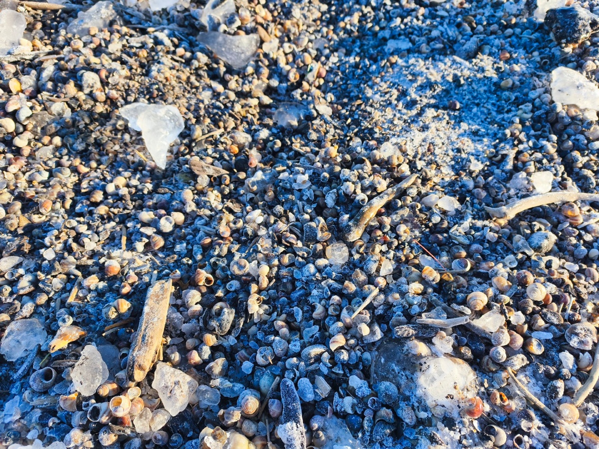 14852d52-fed4-42a6-b335-6c1c02c69c4c