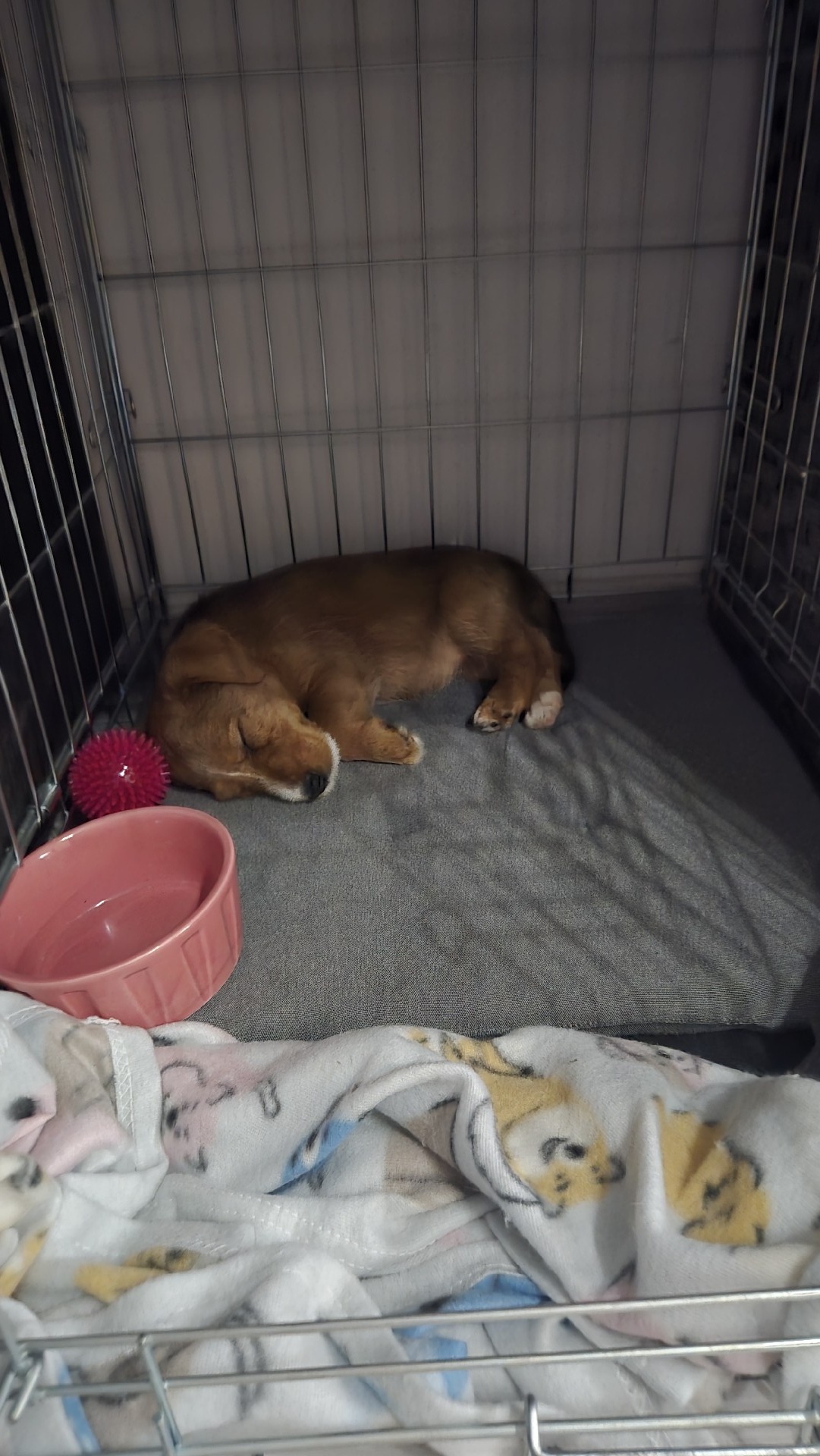 f5328fad-d2f9-411f-8292-beb9e694d3f6