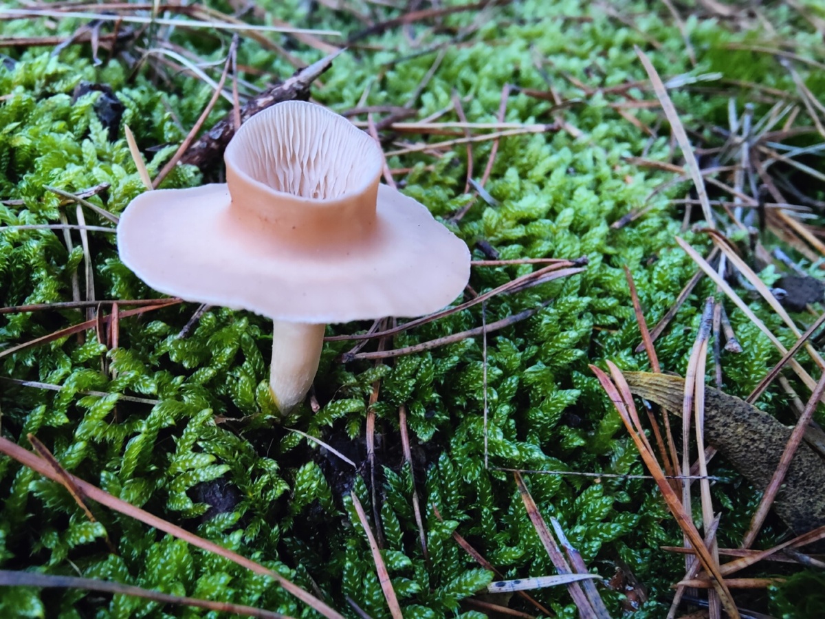 acd6652f-867f-4d5a-9ed2-5358520f0095