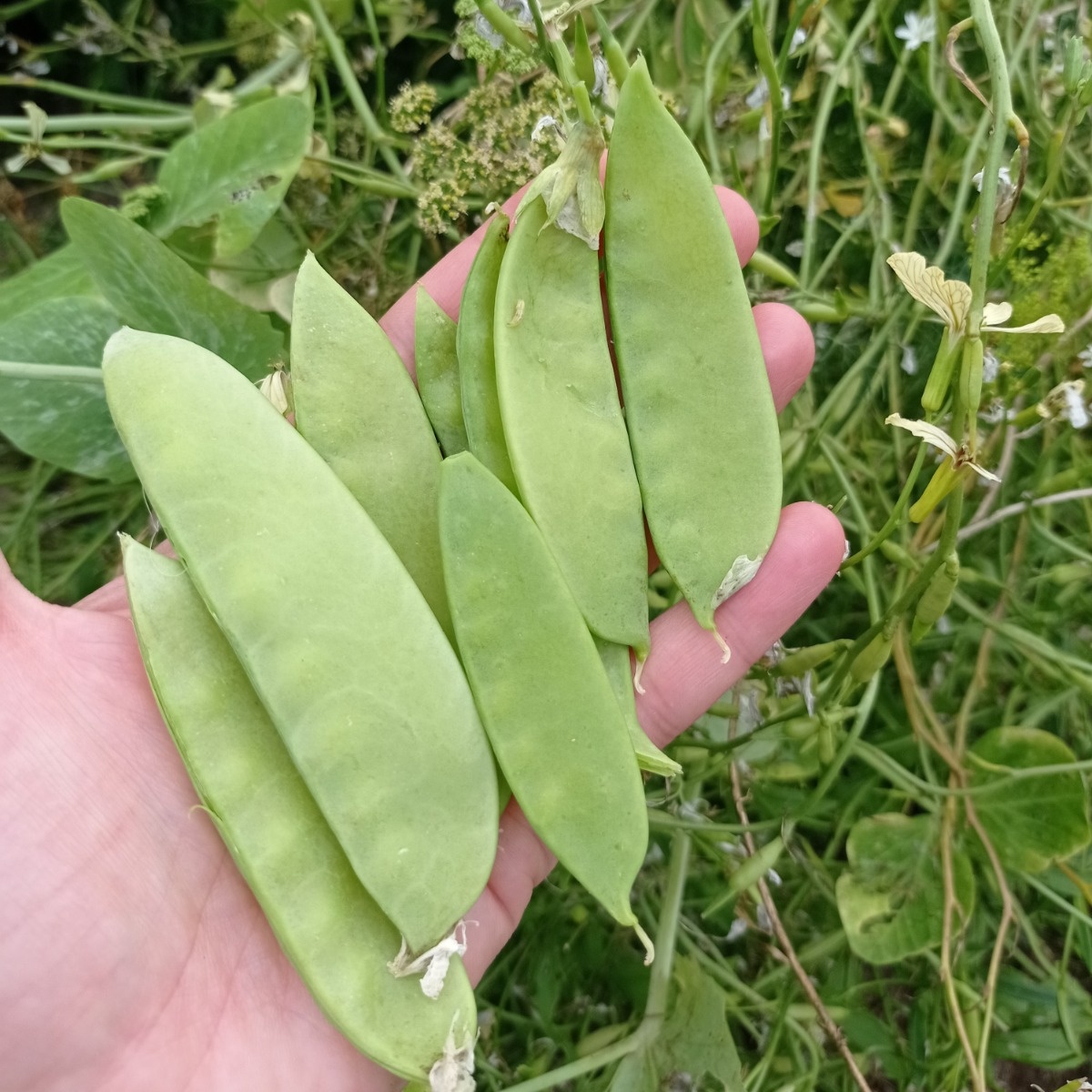 108c59ec-cf9e-4f40-8a05-cf615809e61e