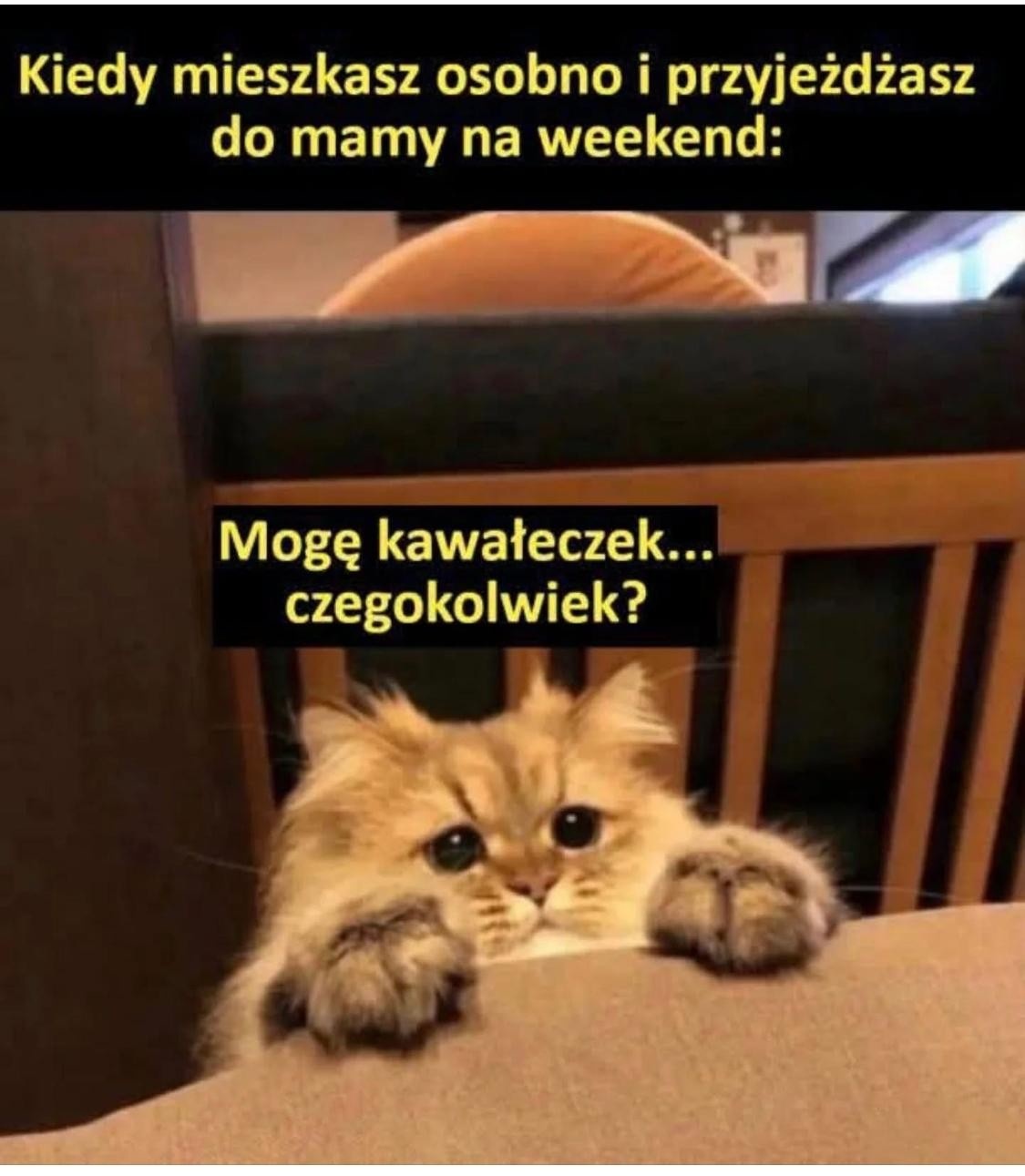 e04b422c-2e6a-4722-9aa5-129d3acfa34d