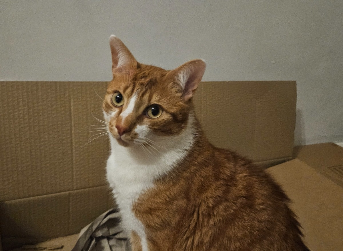 77f966f1-5452-4a6c-8351-bd565abab633