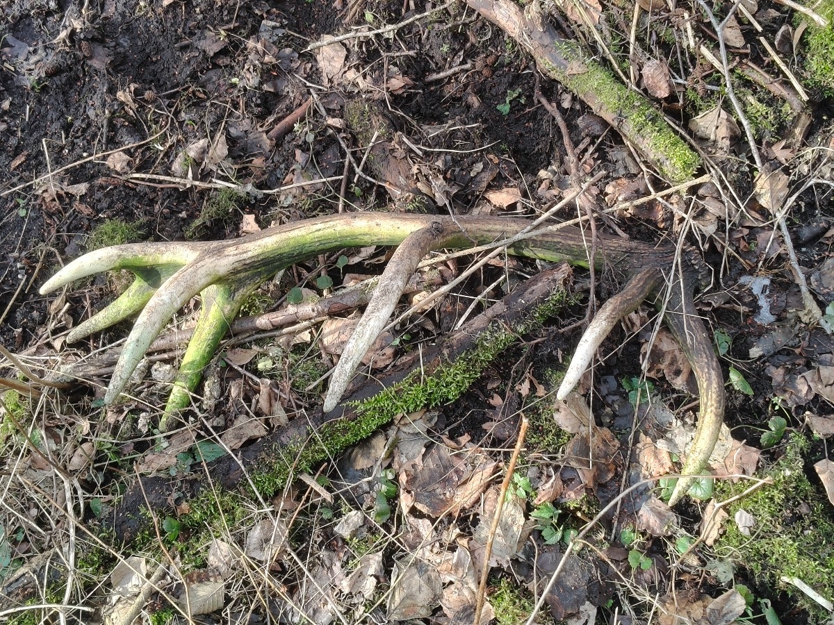 3d492cc9-5860-418b-b7d9-46e55e932c29