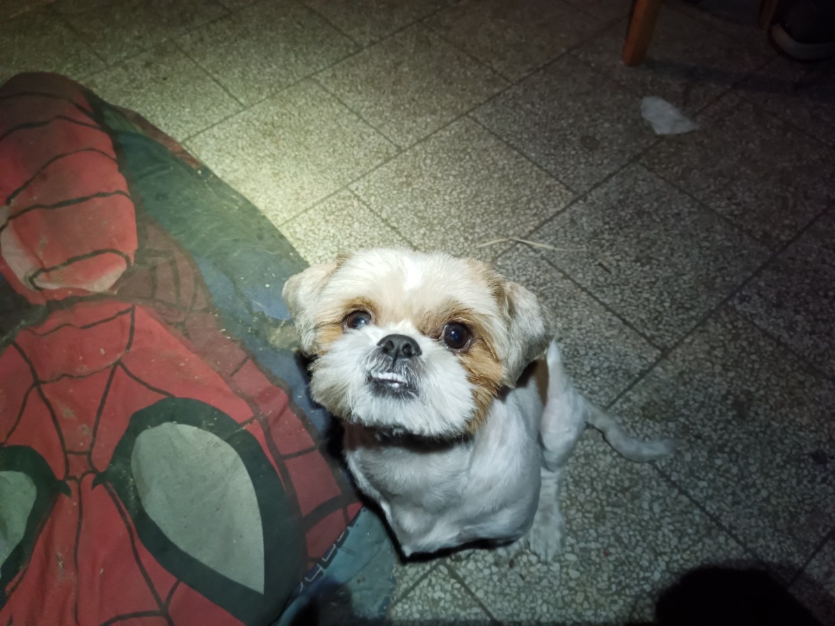 5cc7e643-a801-45f4-b4b1-30d1e6cbd4e3