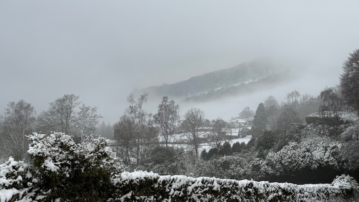 fcde18e9-8ea9-48d7-b542-56069e5c4fef