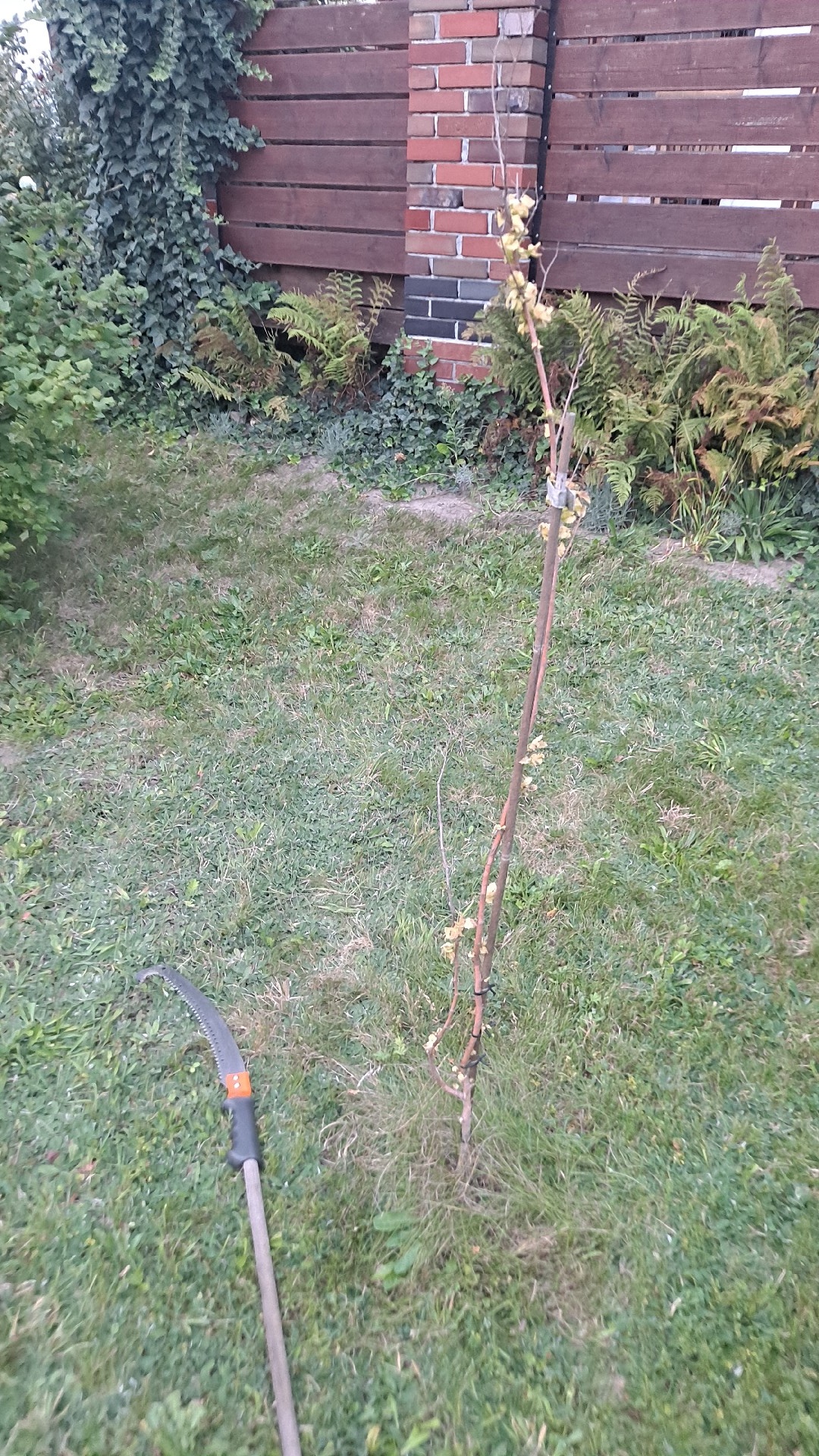 aed3ee26-df83-4b39-b91d-2f5d58c51690