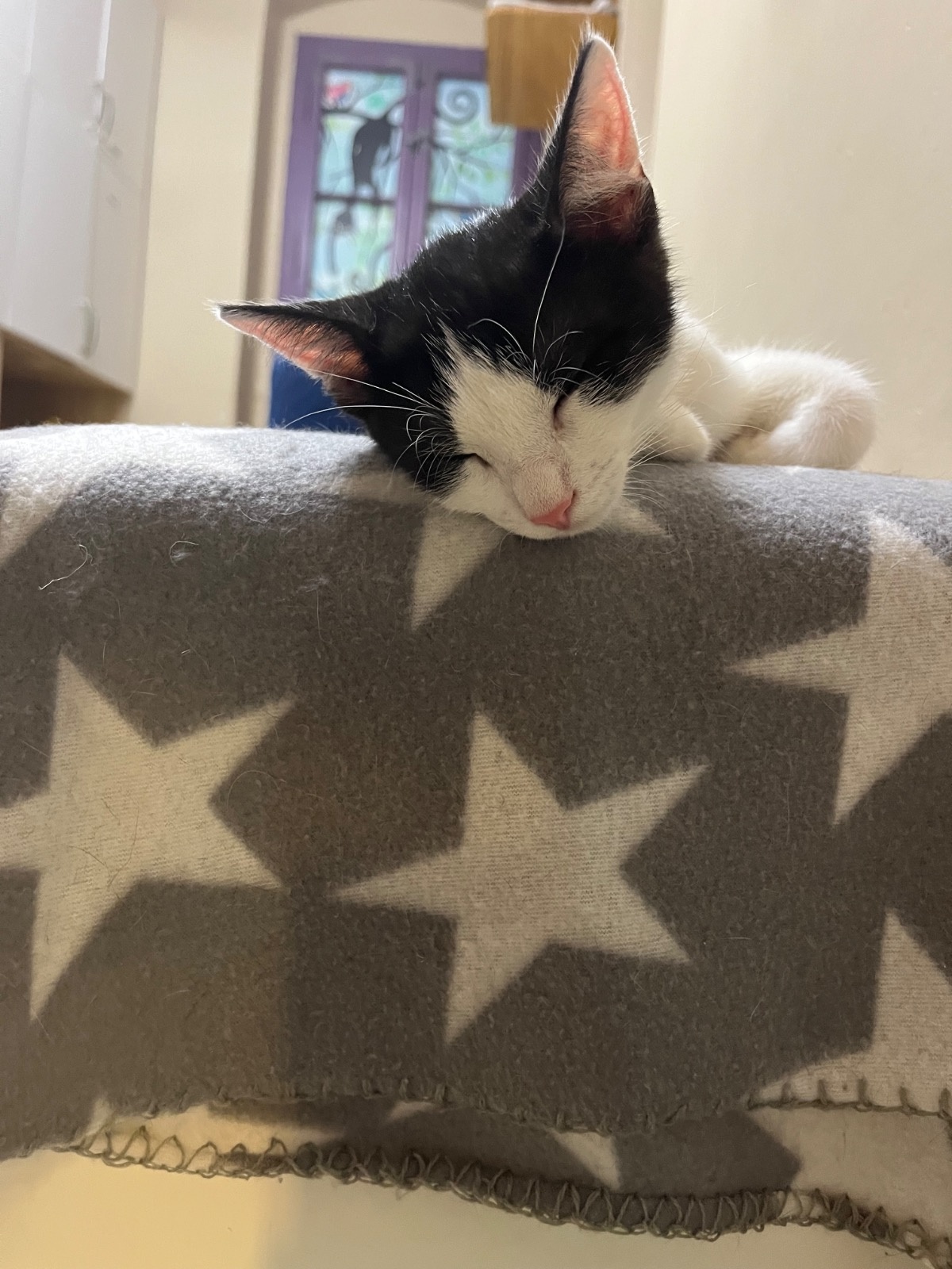 0650766e-c6cb-40ad-ac86-63202ceec8de