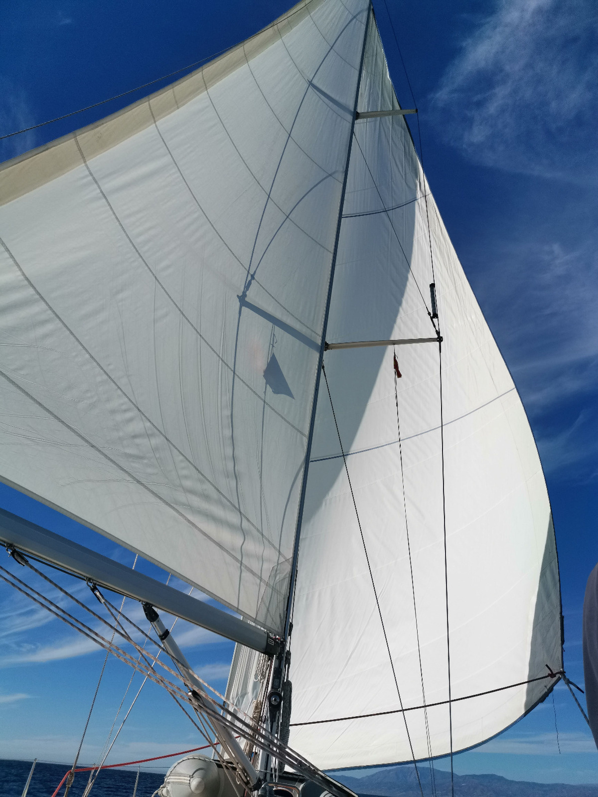 bd8b9cf2-803d-4928-a800-8ef23e358cfa