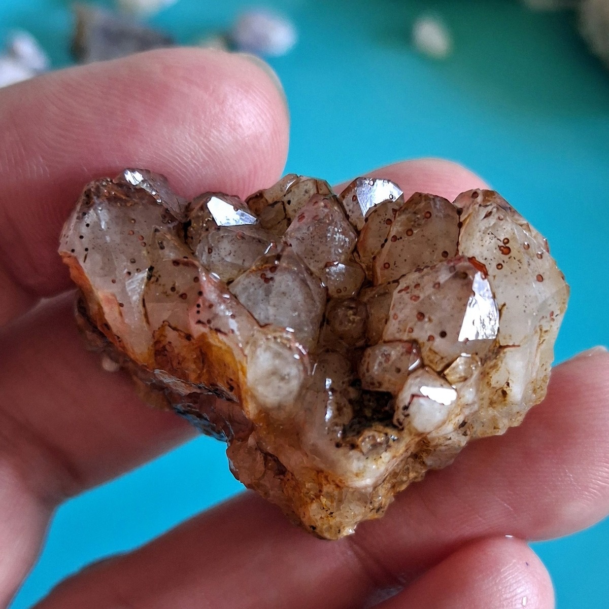 08ce3fb6-e3e1-4b5e-9188-8c515c614b01