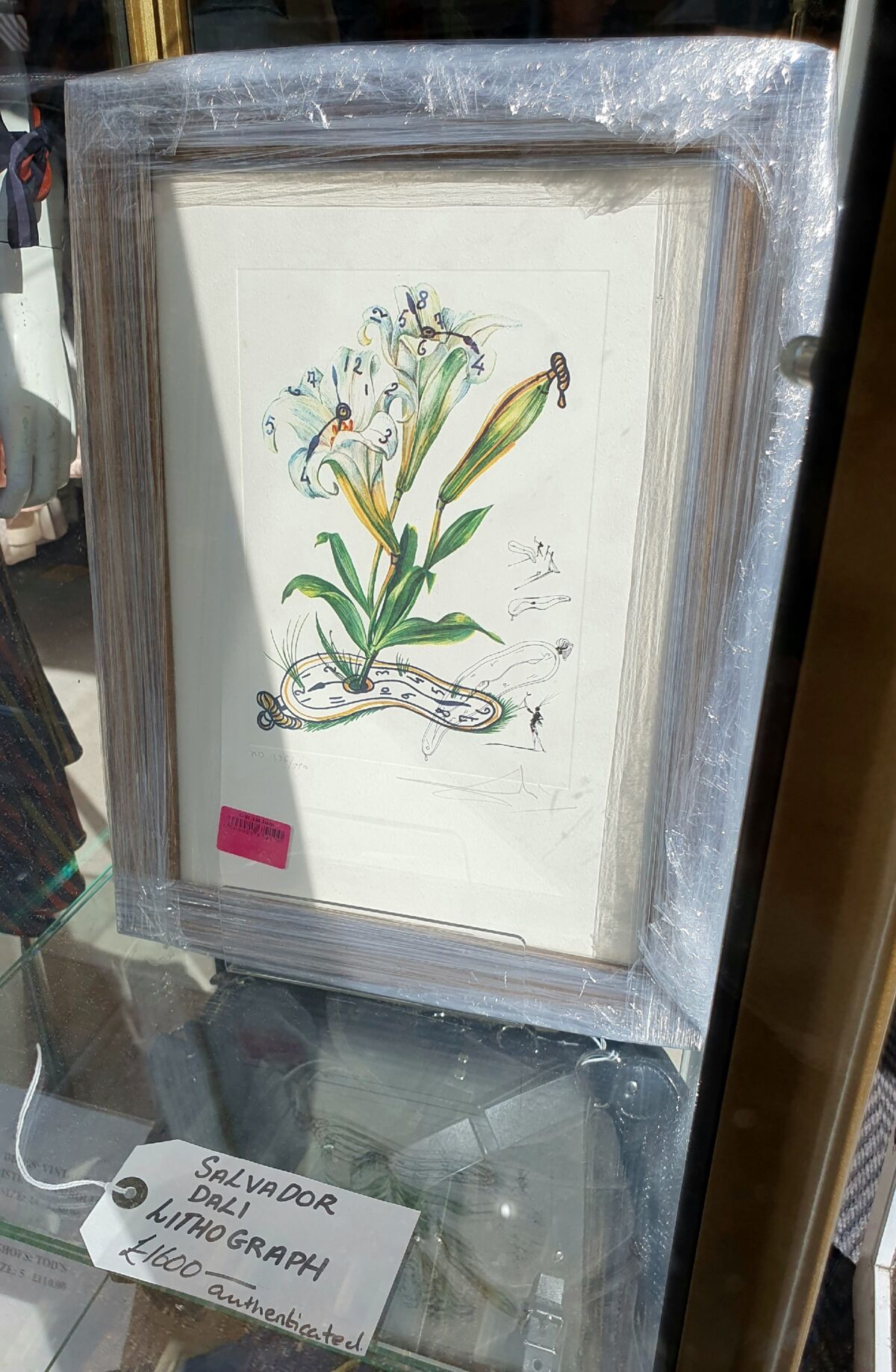 f439c691-eaa4-4b7b-bf65-c1d05f96e205